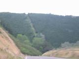 [Rectilinear forests]